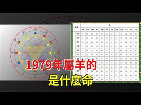 1979羊|1979年出生的屬羊人一生的命運，慶幸看了！